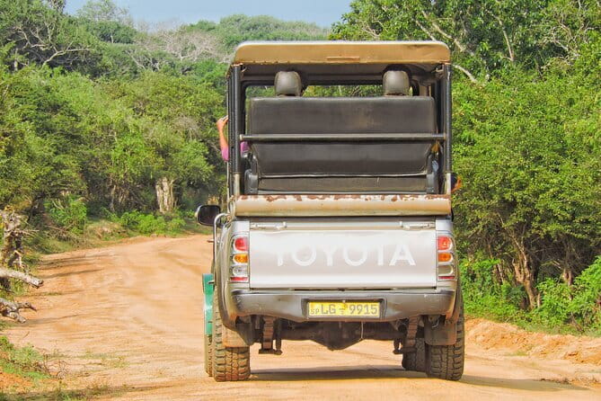 Yala National Park special Half-Day & Full-Day Safari Adventure - The driver-guide can make or break the day