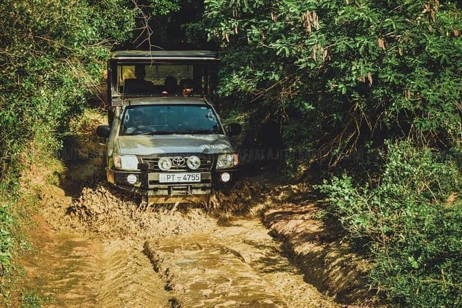 Yala National Park special Half-Day & Full-Day Safari Adventure - Is the $35 price good value?