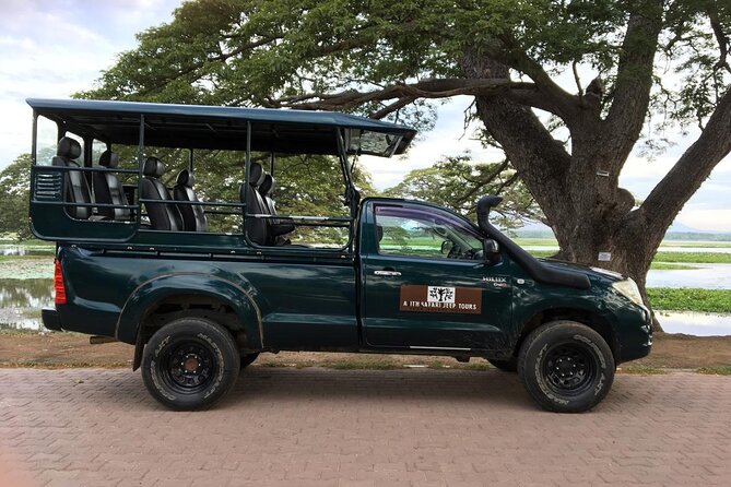 Yala National Park Wildlife Safari/ Game Drive - by Ajith Safari - Key points to know before you book