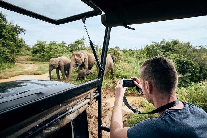 Yala National Park Wildlife Safari/ Game Drive - by Ajith Safari - Choosing between morning, afternoon, and full day