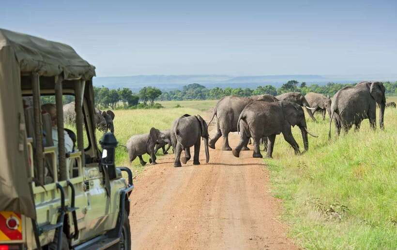 Yala Safari : 7 hour & 12 hour Tours - Who will get the most from this safari
