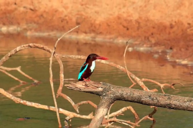 Yala Safari by Yala Safari Wonders - Sunrise, Evening Light, and the Pace of the Day