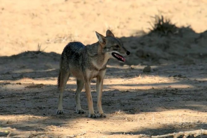 Yala Safari by Yala Safari Wonders - What the $48 Price Really Covers