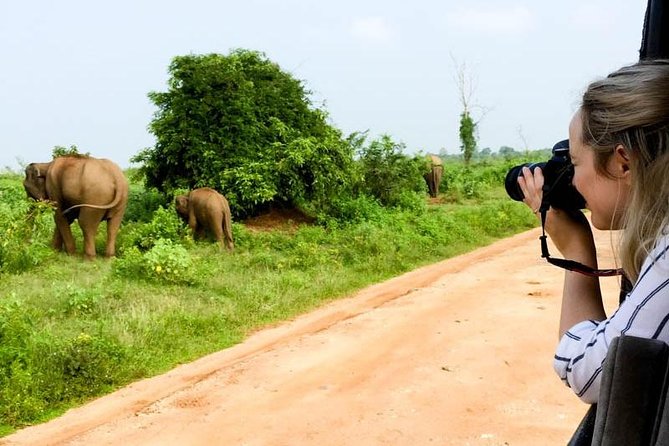 Yala Safari Day Trip from Bentota/ Kalutara/ Ahungalla/ Hikkaduwa - Lunch, water, and what you still pay for