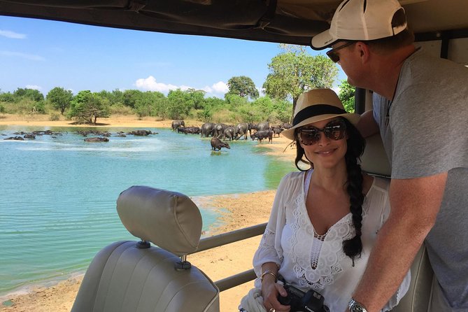 Yala Safari Day Trip from Bentota/ Kalutara/ Ahungalla/ Hikkaduwa - The 4am morning start and Yala at sunrise