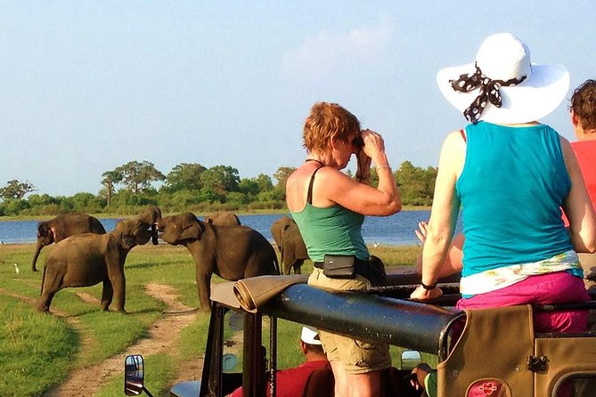 Yala Safari Tour from Hambantota Port (Shore Excursion) - Why the driver-guide matters