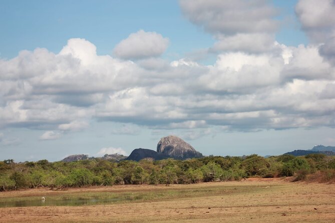 Yala safari Tours Morning /Afternoon /Fullday - The value of a jeep reserved for your group