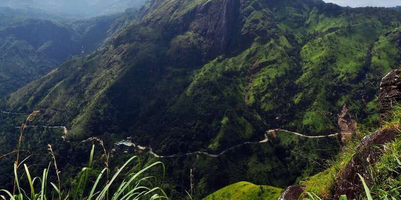 Zip Lining in Ella - Is $51 good value for 20 minutes?